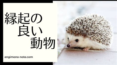 吉祥動物|縁起の良い動物一覧【幸運・恋愛・金運アップ・願い。